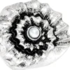 Best Bijou Brigitte Anello - Bright Shell