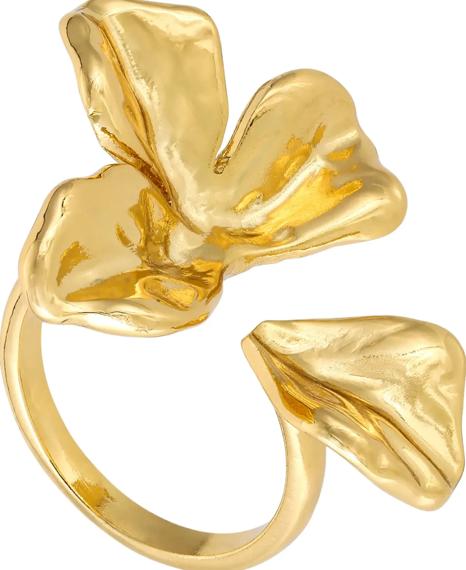 Clearance Bijou Brigitte Anello - Golden Blossom