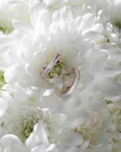 New Bijou Brigitte Creoli - Dazzling Spark