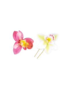 Bijou Brigitte Fermacapelli - Orchid Double