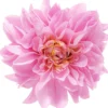 Online Bijou Brigitte Fermacapelli - Wonderful Flower