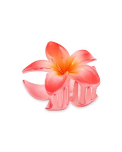 Online Bijou Brigitte Fermaglio per capelli - Flowery Summer