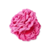Hot Bijou Brigitte Fermaglio per capelli - Pink Blossom
