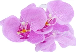 New Bijou Brigitte Fermaglio per capelli - Purple Orchid