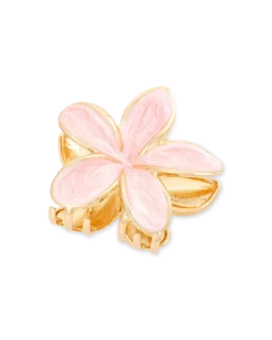Sale Bijou Brigitte Fermaglio per capelli - Rose Aloha