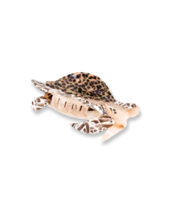 Online Bijou Brigitte Fermaglio per capelli - Sea Tank