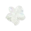 Clearance Bijou Brigitte Fermaglio per capelli - White Aloha
