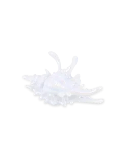 Discount Bijou Brigitte Fermaglio per capelli - White Conch