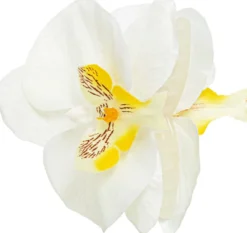 Hot Bijou Brigitte Fermaglio per capelli - White Orchid