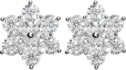 New Bijou Brigitte Orecchini a perno - Beauty Love