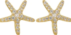 Sale Bijou Brigitte Orecchini a perno - Bright Stars