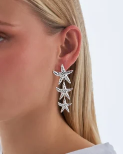 Hot Bijou Brigitte Orecchini a perno - Chrome Stars