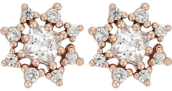 Discount Bijou Brigitte Orecchini a perno - Glas Flower
