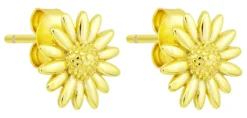 Discount Bijou Brigitte Orecchini a perno - Radiant Flower