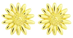 Discount Bijou Brigitte Orecchini a perno - Radiant Flower