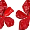 New Bijou Brigitte Orecchini a perno - Red Hawaii