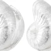 Online Bijou Brigitte Orecchini a perno - Silver Shells