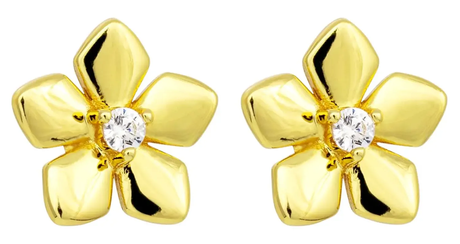 Discount Bijou Brigitte Orecchini a perno - Zirconia Blossom
