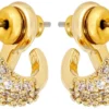 Online Bijou Brigitte Orecchini a perno - Zirconia Dream