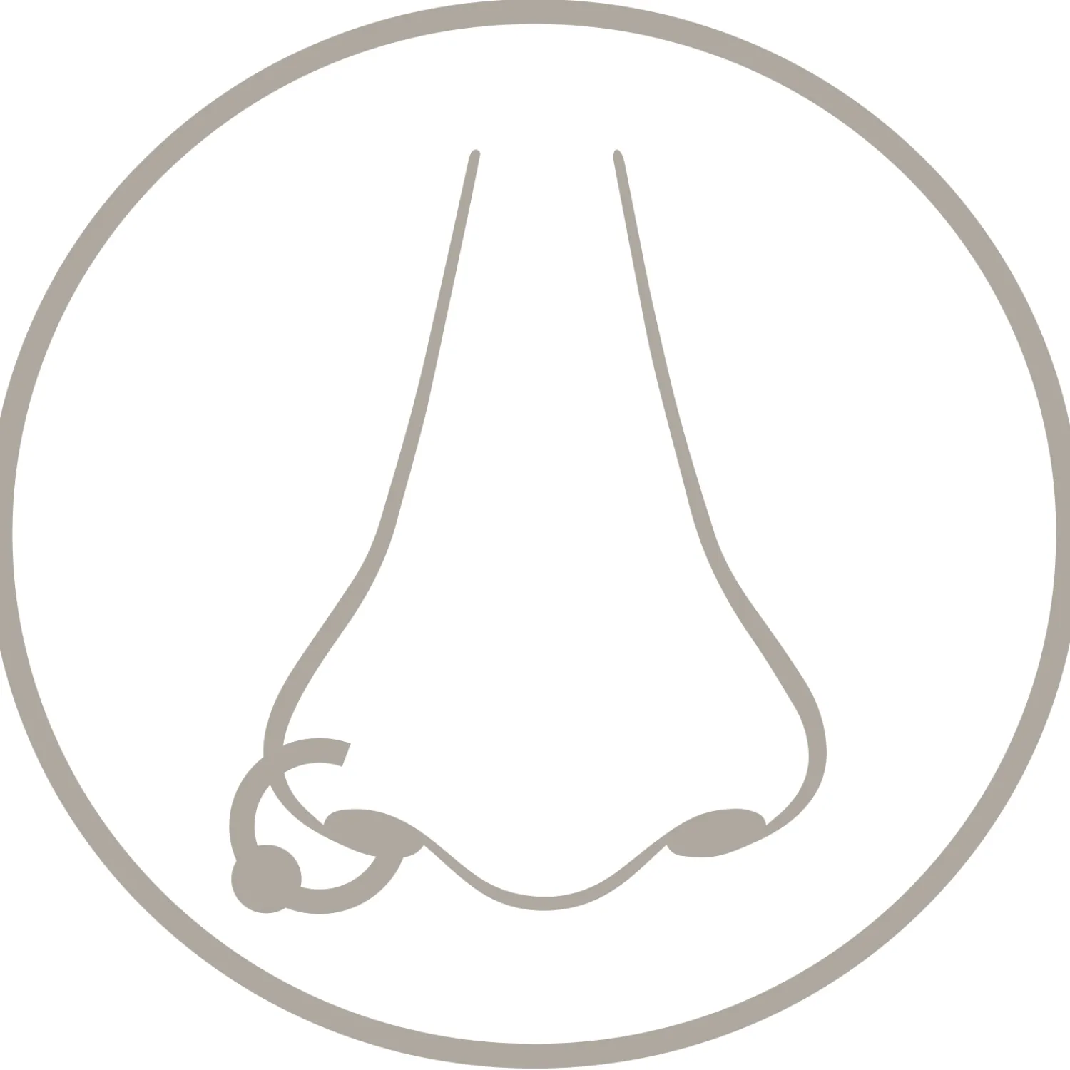 Hot Bijou Brigitte Piercing - Sparkling Elegance