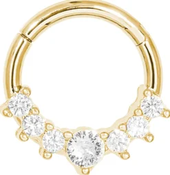 Hot Bijou Brigitte Piercing - Sparkling Elegance