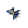 Bijou Brigitte Spilla - Ocean Sparkle