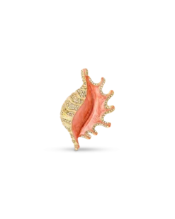 Sale Bijou Brigitte Spilla - Orange Shell