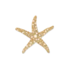 Discount Bijou Brigitte Spilla - Pearly Star